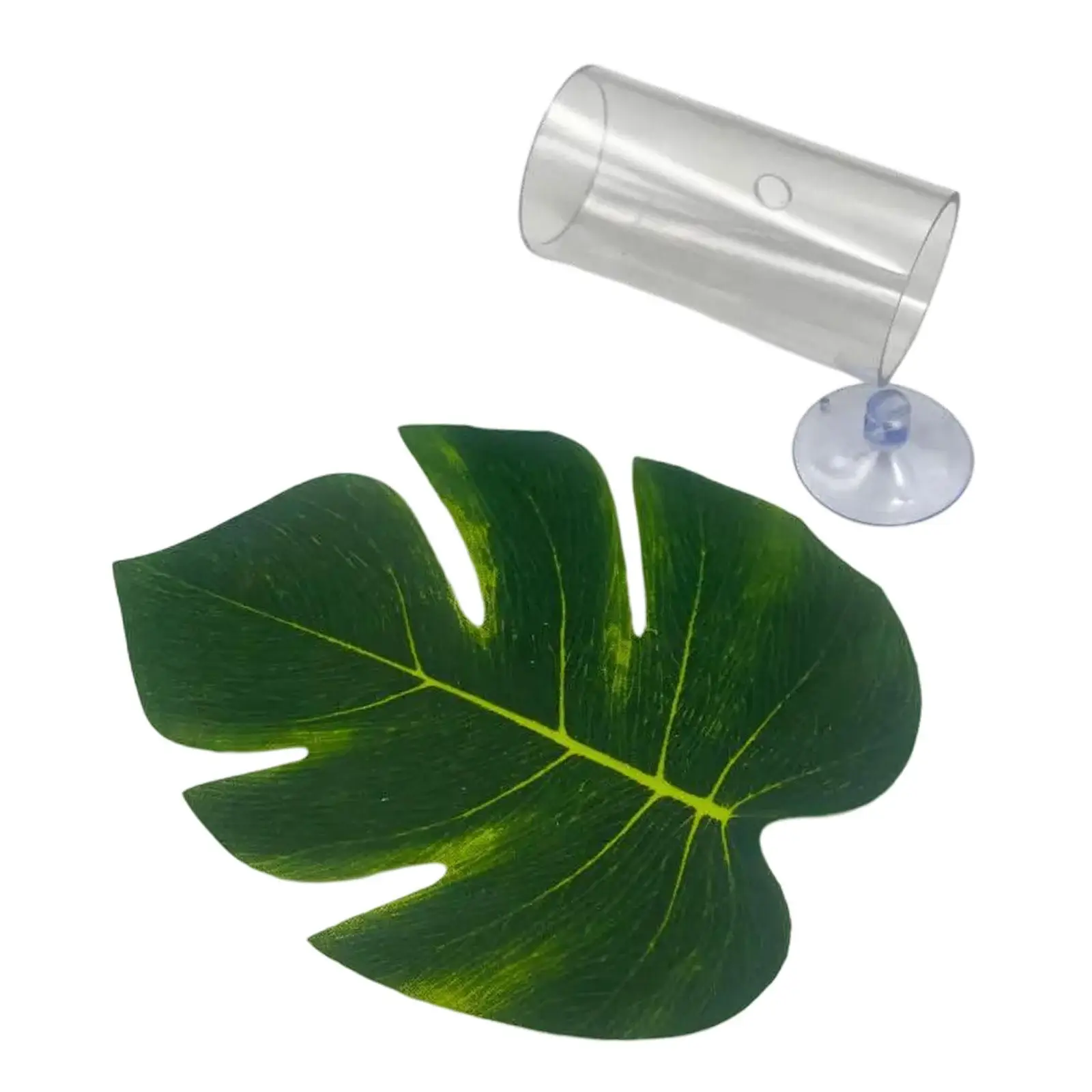 Betta Fish Tube Tunnel Shelter Habitat for Sleeping Playing Aquarium Hideout