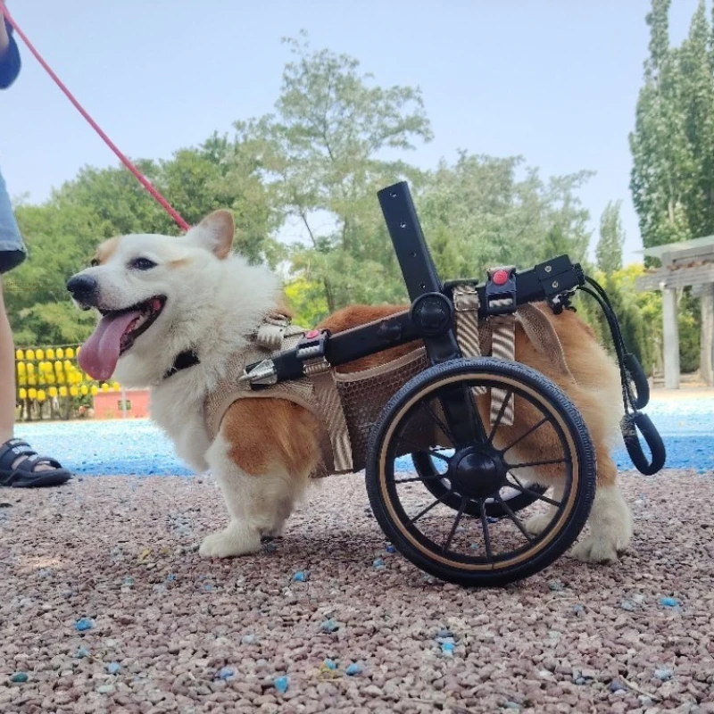 Silla de ruedas especial para perros mayores y Corgi con parálisis - imagen 4
