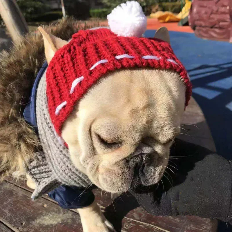 Gorro cálido de invierno para perro, gorro de Navidad para mascotas, accesorios para perros, sombrero de lana para cachorros con bola, sombreros para perros pequeños, Bulldog francés - imagen 3