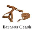 harness leash