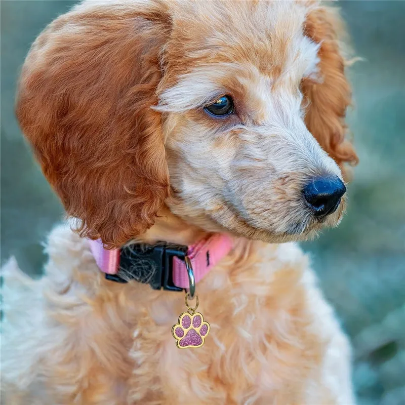 Etiqueta de identificación personalizada para perros y gatos, pata de aleación personalizada, Collar para cachorros y gatitos, accesorios antipérdida, etiquetas de nombre para mascotas pequeñas y grandes - imagen 4