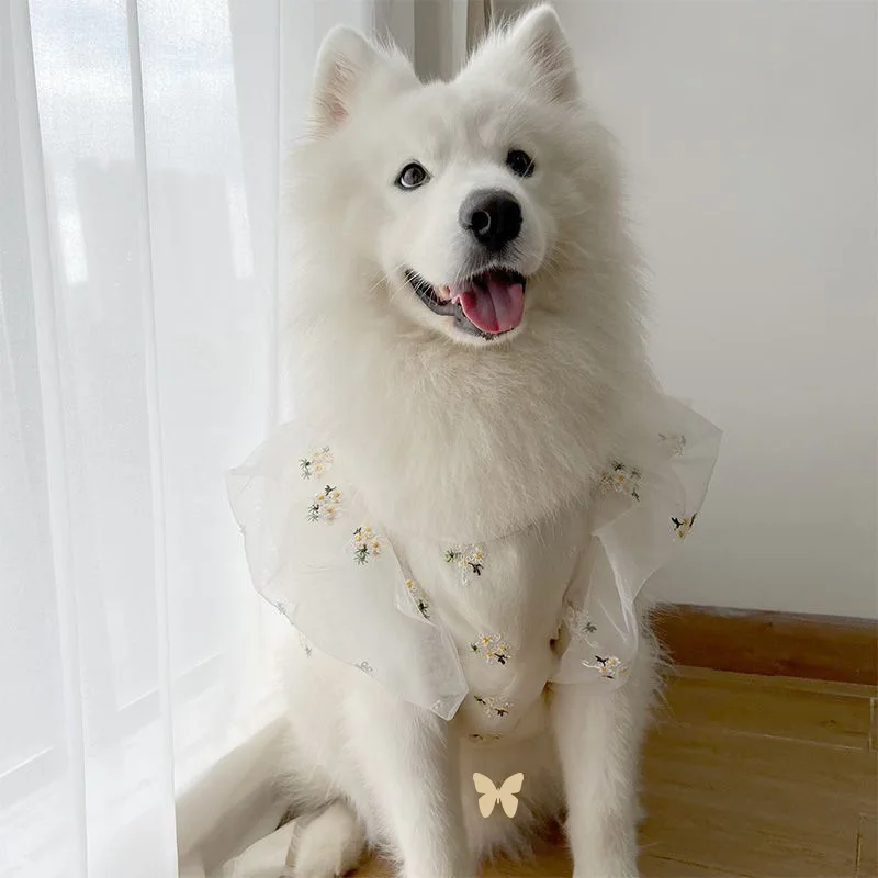 Ropa para perros grandes, traje de boda fino, vestido de novia, sombrero de pelo dorado Satsuma, vestido de perro grande, ropa de primavera y verano para mascotas - imagen 3