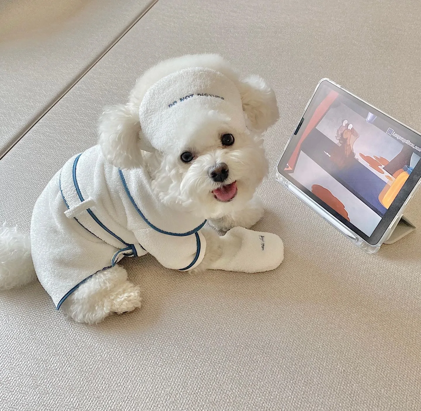 Ropa bonita de estilo de Hotel INS para cachorros y perros, Toalla de baño para mascotas, albornoz, accesorios para fotos, camisón, pijamas de diseñador, Bichon, peluche, Bulldog, regalo - imagen 4