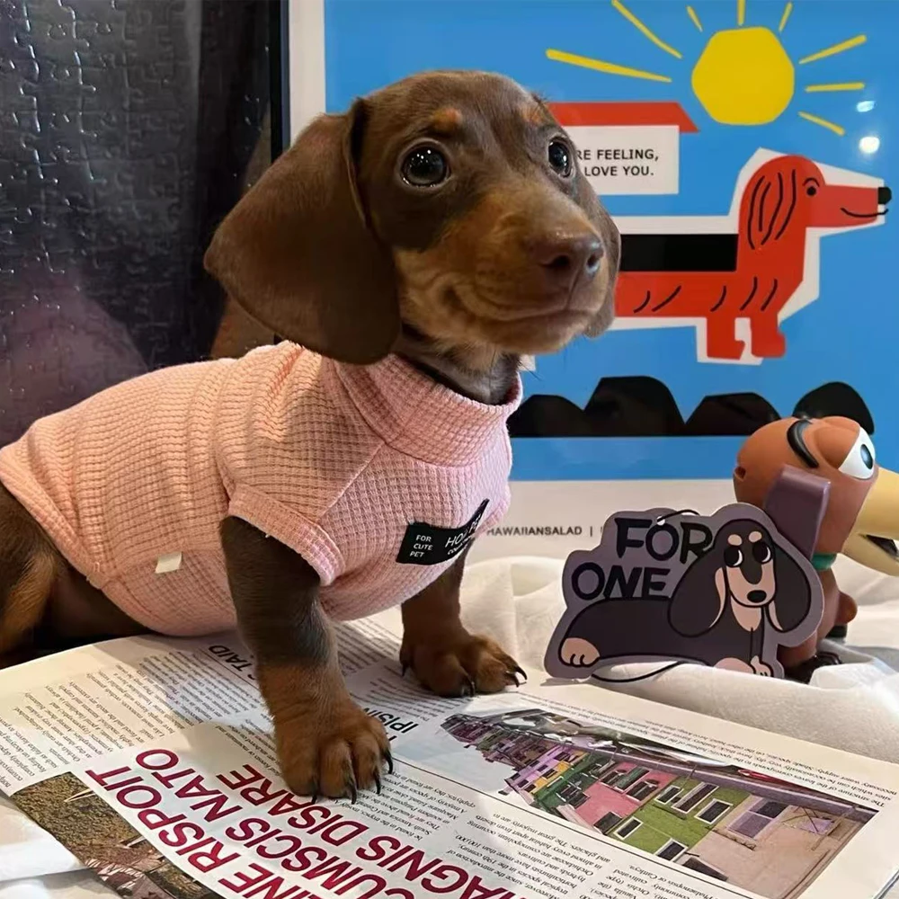 Conjunto primavera de mangas suaves y chaleco elástico para Dachshund - imagen 3