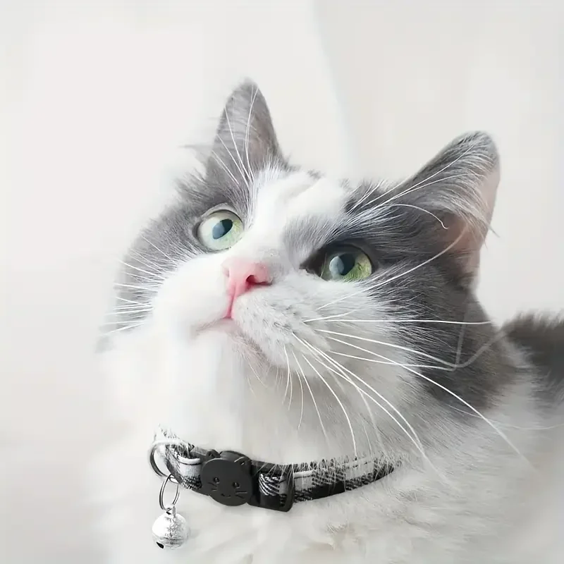 Collar de gato de nailon personalizado, patrones a cuadros, campana, accesorios de seguridad ajustables para gatitos, etiqueta de identificación separable, Collar pequeño para cachorro - imagen 5