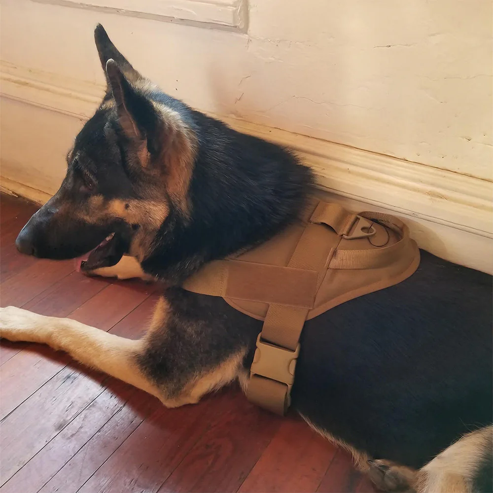 Arnés táctico para perros con juego de correa, chaleco ajustable sin tirar para caminar, arnés de entrenamiento resistente para perros medianos/grandes que caminan
