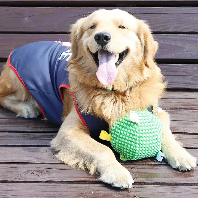 Juguete chirriante para perros pequeños y medianos, juguete para masticar para perros resistente a mordeduras, juguetes interactivos para cachorros, accesorios para perros - imagen 3