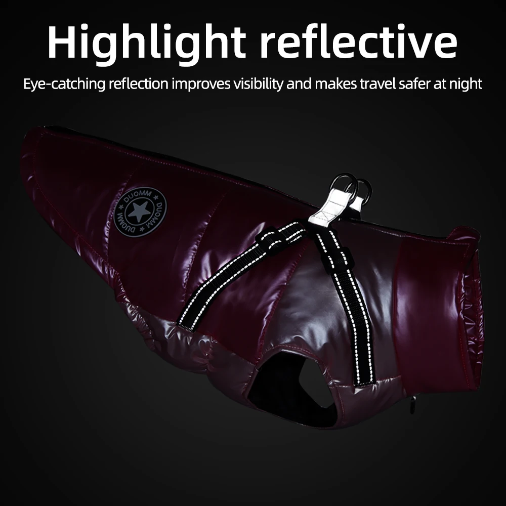 Ropa de invierno para Chihuahua - diseño