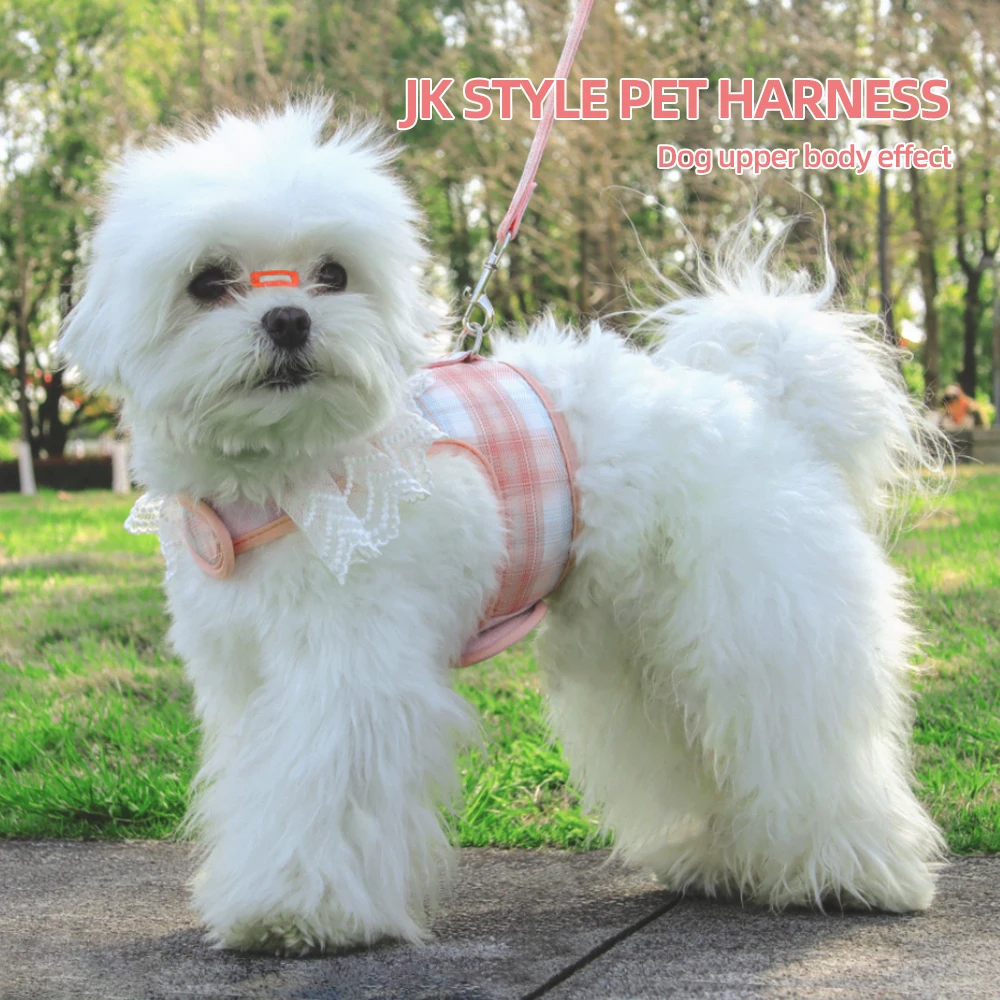 Arneses para perros y gatos estilo campus, estampado a cuadros con lazo, conjunto de correa para perros pequeños, Schnauzer, suministros para cachorros de Pomerania - imagen 4