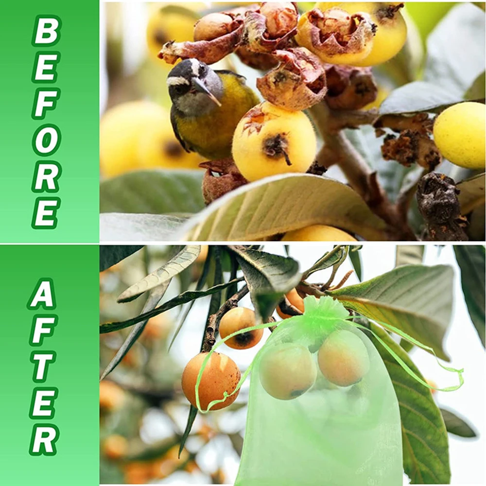 100 Uds. Bolsas de protección para uvas y frutas, bolsas de malla para jardín, Control de plagas para huerto agrícola, bolsas para verduras con red antipájaros - imagen 5