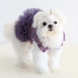 Vestido con mesh para perros pequeños y gatos - Cómodo y transpirable
