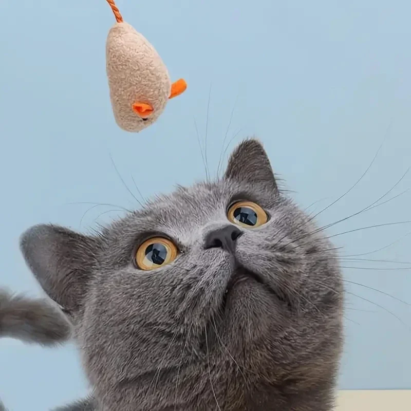 Juguetes interactivos de felpa para ratas y gatos, de lino duradero, perfecto para razas pequeñas, seguro para jugar en interiores, 3/7/12 piezas - imagen 3