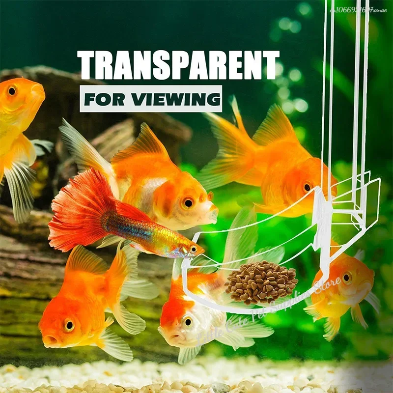 Tubo de alimentación de acuario acrílico, alimentador de precisión de camarones de cristal para pecera, bandeja de alimentación, anillo de alimentación, alimentadores de acuario - imagen 4