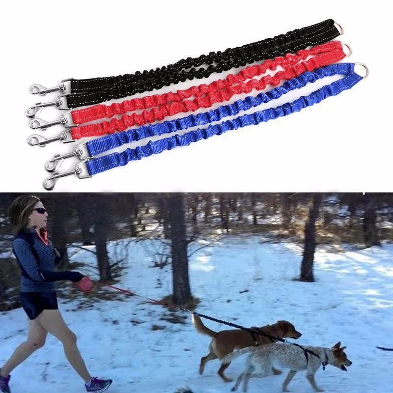 Cuerda de cuero bidireccional para perros, cinturón elástico extendido para mascotas, entrenamiento al aire libre, dos cuerdas dobles para perros de tamaño pequeño a mediano - imagen 3