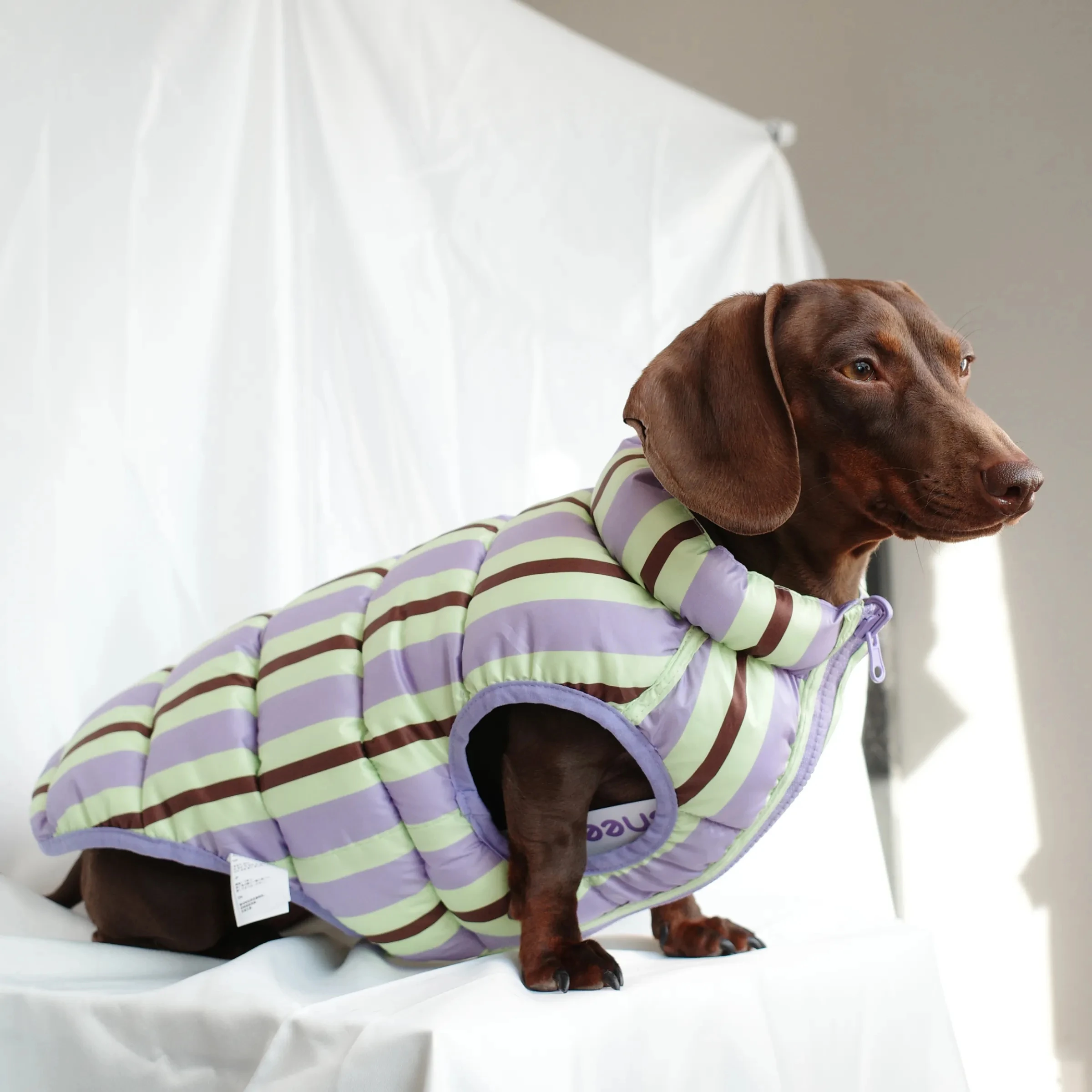 Chaqueta de plumón de invierno para perros tejón, chaleco grueso para perros Wiener en clima frío, abrigo ligero y cálido sin mangas para perro salchicha - imagen 2