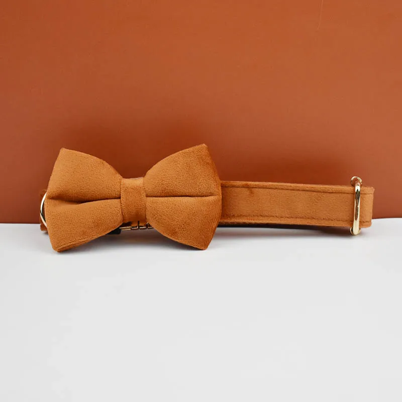 Bow Collar21