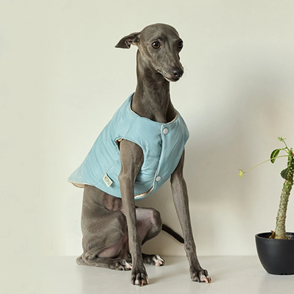 Chaqueta de invierno de galgo pequeño italiano, chaleco grueso cálido con botones en blanco y azul, ropa de Whippet a la moda, abrigo a prueba de viento para perros - imagen 3