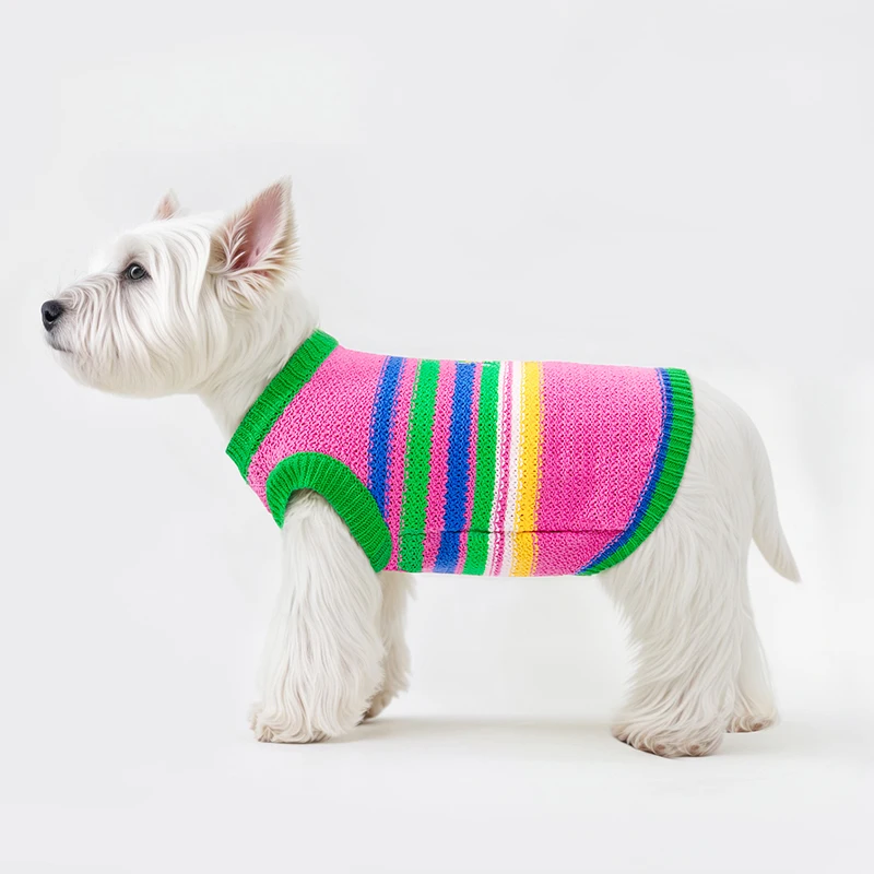Ropa para cachorros para otoño e invierno, suéter cálido para invierno, chaleco para productos para mascotas, suministros, accesorios, bonito chaleco de colores, suéter de punto - imagen 3