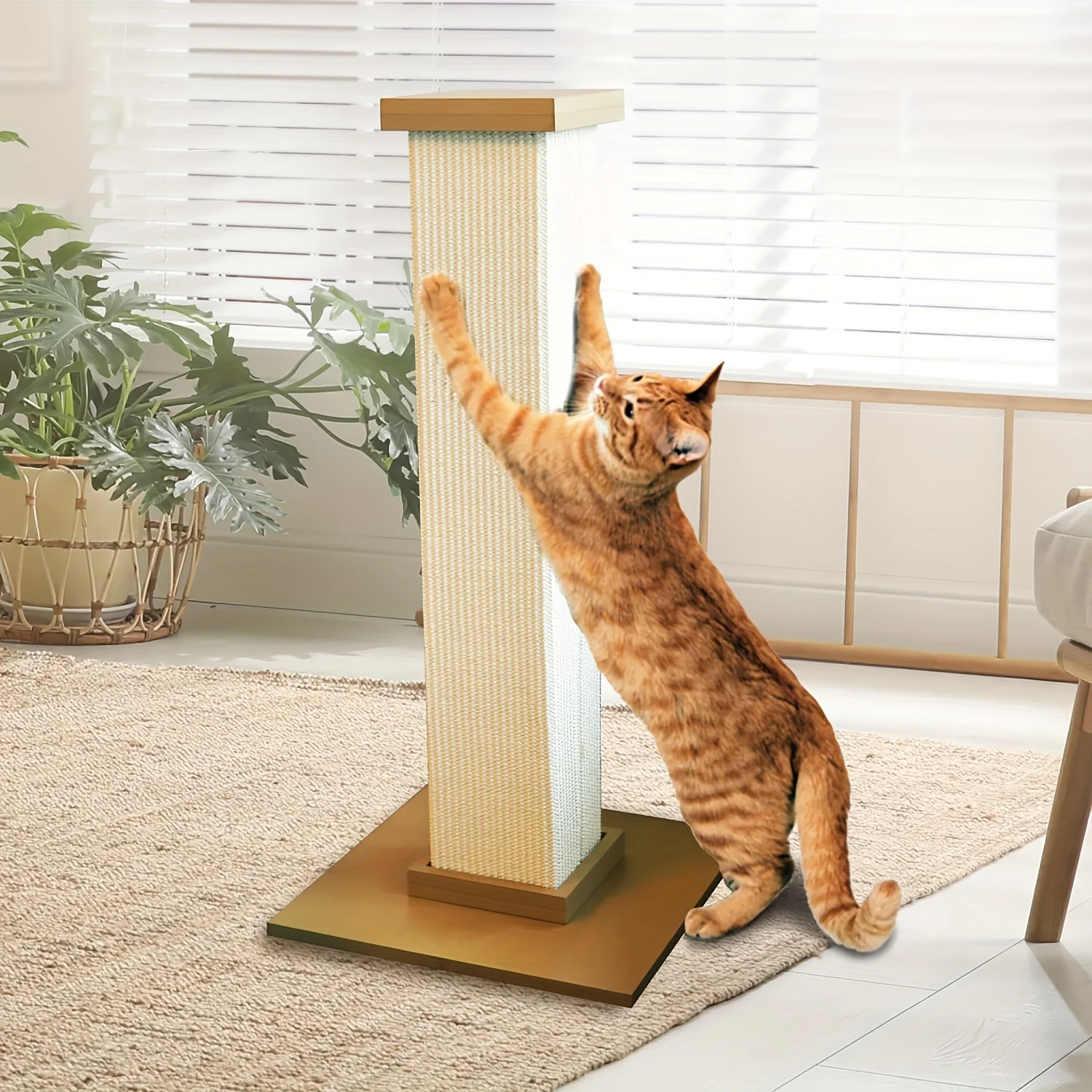 Columna romana, marco de escalada para gatos, Sisal Vertical, resistente al desgaste, sin caída, columna de escalada estable integrada para gatos - imagen 3