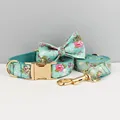 Bow Collar Leash Set