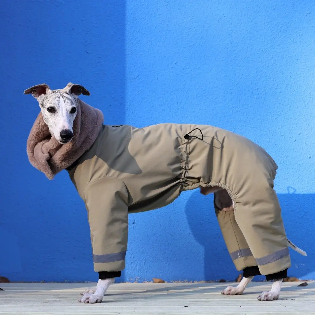 Chaqueta térmica para galgos y whippets – Forro polar verde cortavientos