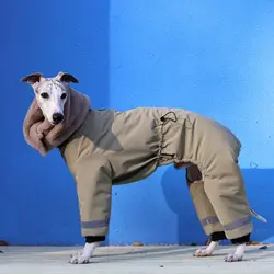 Chaqueta térmica para galgos y whippets – Forro polar verde cortavientos