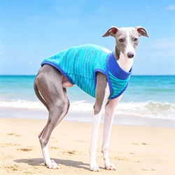 Camiseta UV transpirable para perros: Galgo Italiano y Whippet verano