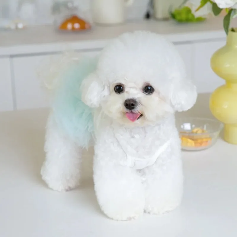 Falda tutú acampanada con tirantes y malla para perros pequeños - imagen 4
