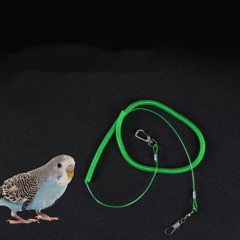 Correa de entrenamiento elástica para aves - cacatúas y loros (3-20 m) - imagen 2