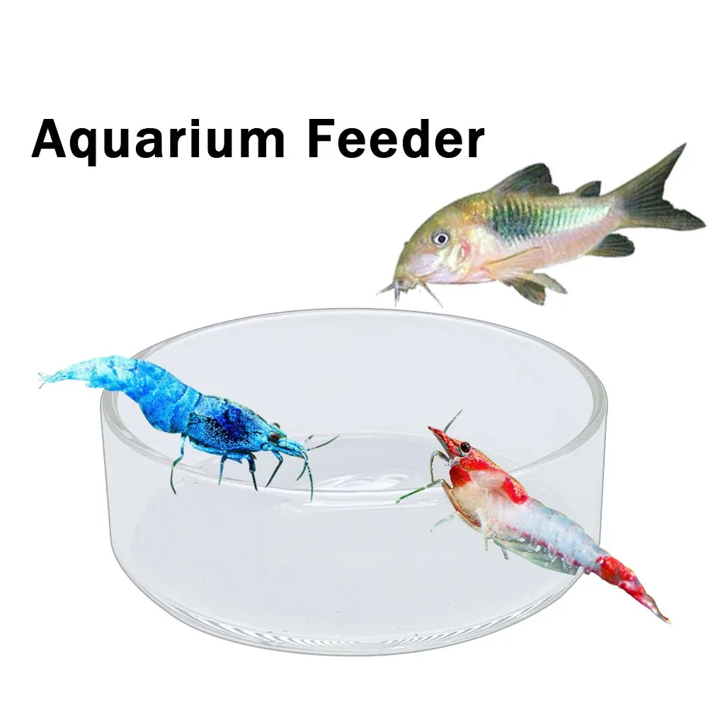 Alimentador de acuario flotante transparente acrílico, plato redondo, alimentador inferior, caja de comida para camarones, accesorio de alimentación para peces y camarones - imagen 3
