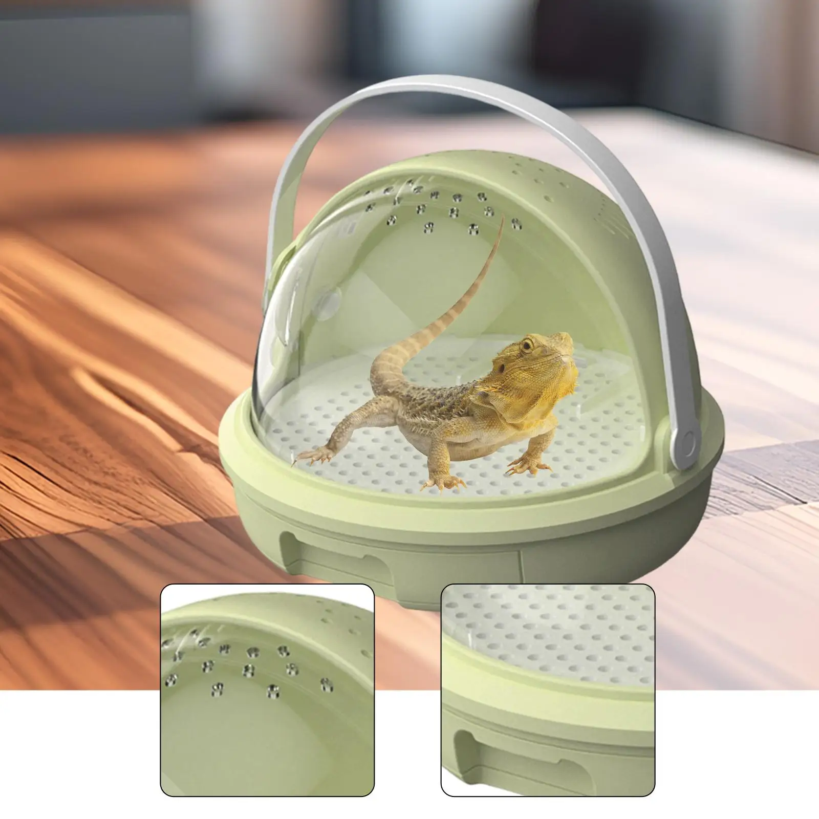 Reptile Feeding Box Spacious Gifts Ventilated Multi Purpose Display Box Tarantula Enclosure Terrarium Cage for Invertebrates