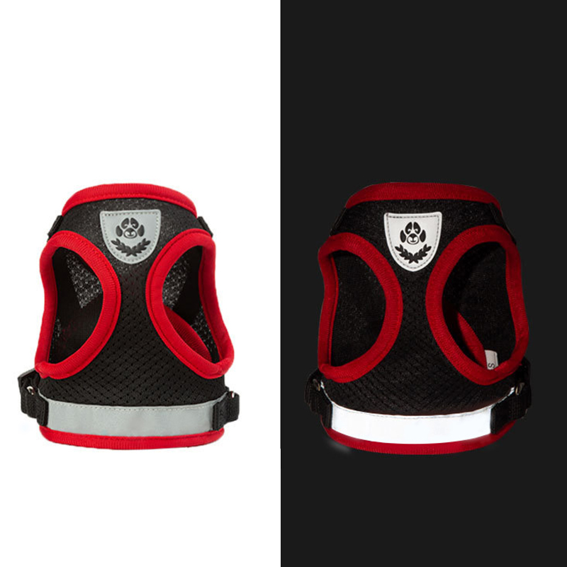 XLeiPet Arnés - Detalle de costuras y acabados de calidad