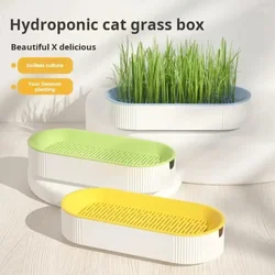 Caja de hierba hidropónica para gatos, aperitivos para gatos, plantación de hierba gatera, caja de hierba para gatos sin suelo, macetero de hierba para gatos