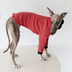 Camisa de algodón suave para galgos - ideal para invierno