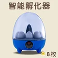 Yi egg 8-pcs