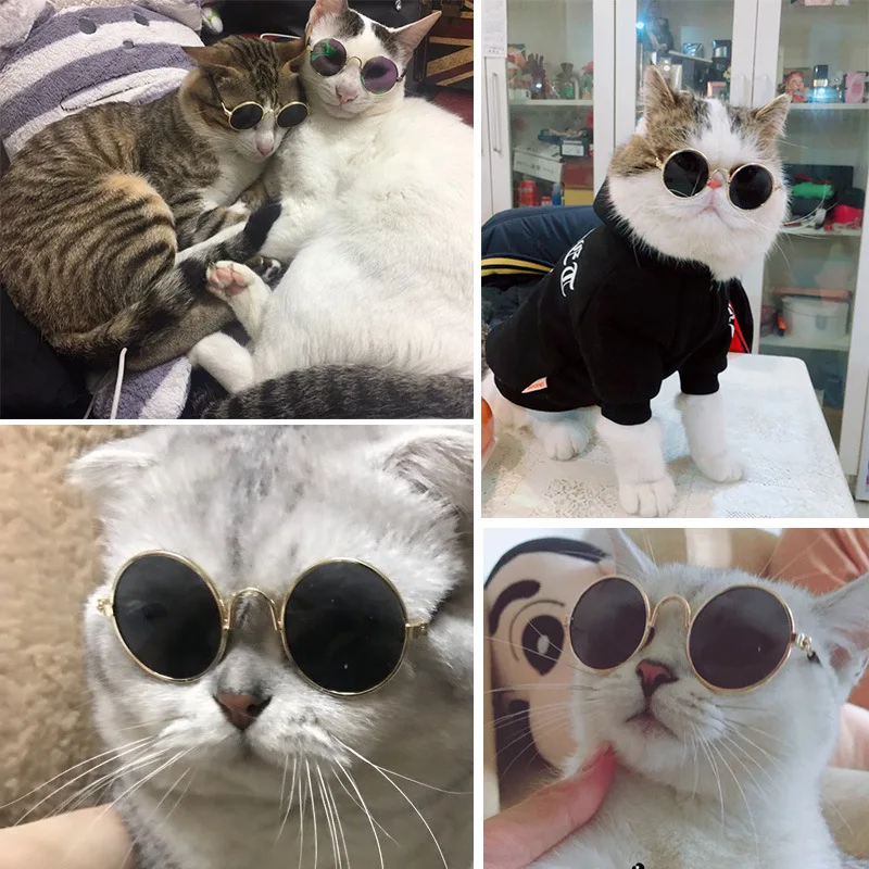 Gafas de sol para gatos, gafas de sol para perros, personalidad de peluche, sombreros divertidos, accesorios para mascotas, gafas para gatos - imagen 2