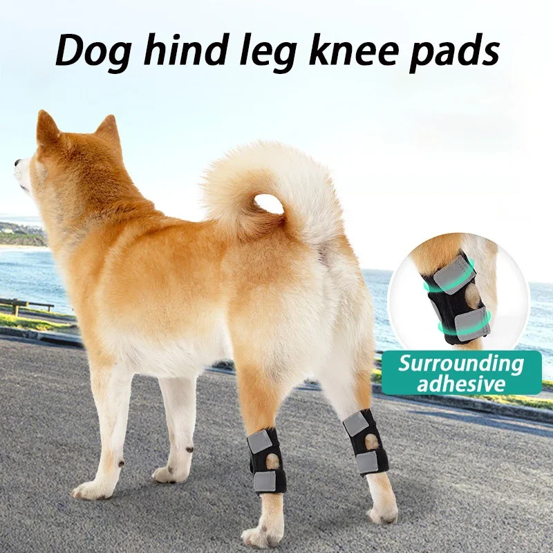 Rodilleras para perros mayores, soporte asistido, rodillera para ejercicio, cubierta de protección para piernas traseras, productos de rodillera de seguridad para perros, suministros para mascotas