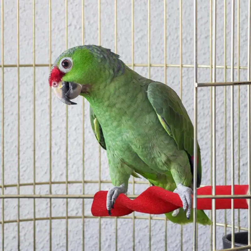 Soporte de ducha para pájaros, barra de juego para loros, jaula de pájaros, palos de garra de juguete, varilla de lijado, accesorios para pájaros amorosos - imagen 5