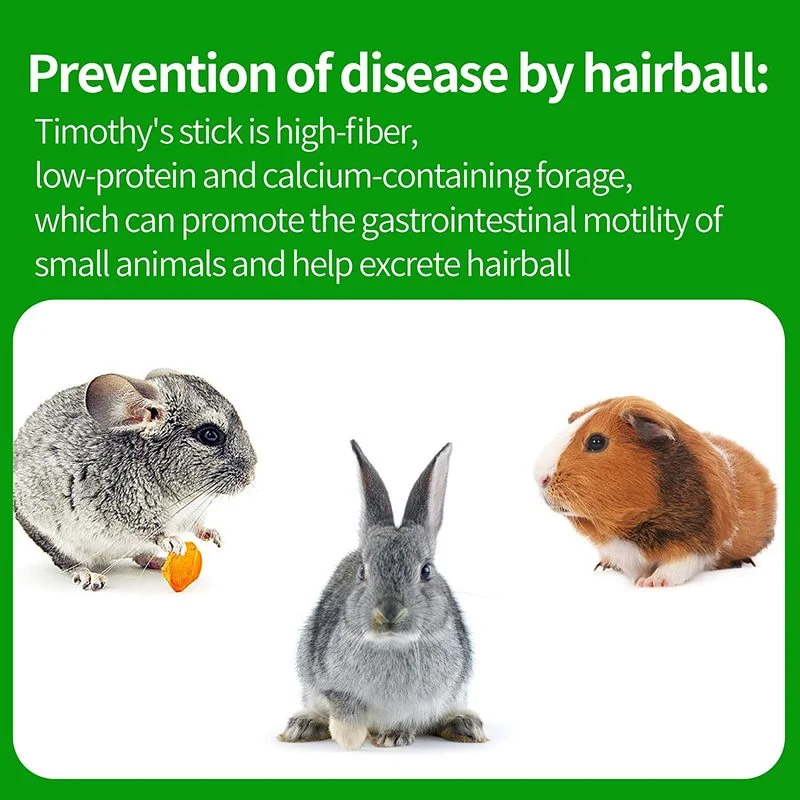 Pets Chewing Toys Carrot Timothy Hay Molar Sticks for Rabbits Guinea Pig Hamsters Chinchilla Bunny Chew Toys Teeth Treats - imagen 5