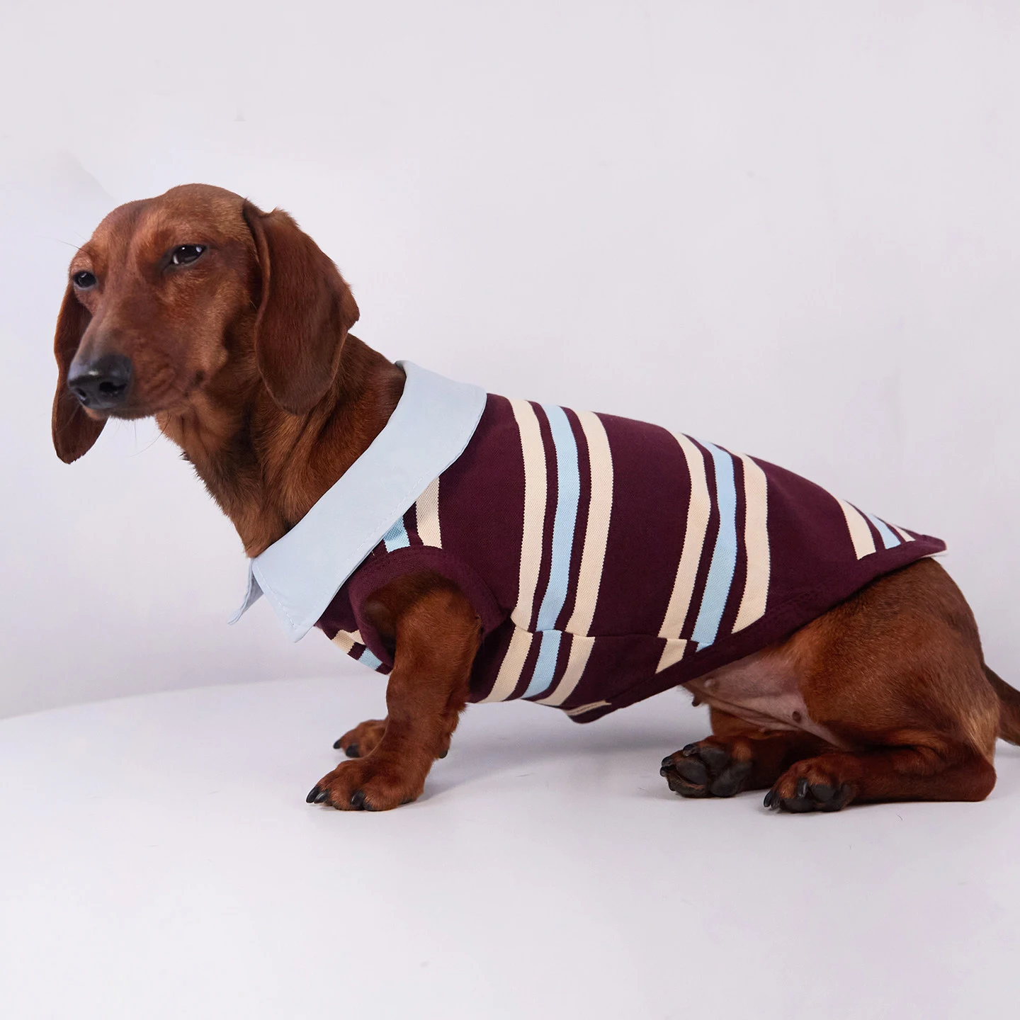 Camiseta de cuello alto a rayas para perros pequeños y medianos - imagen 2