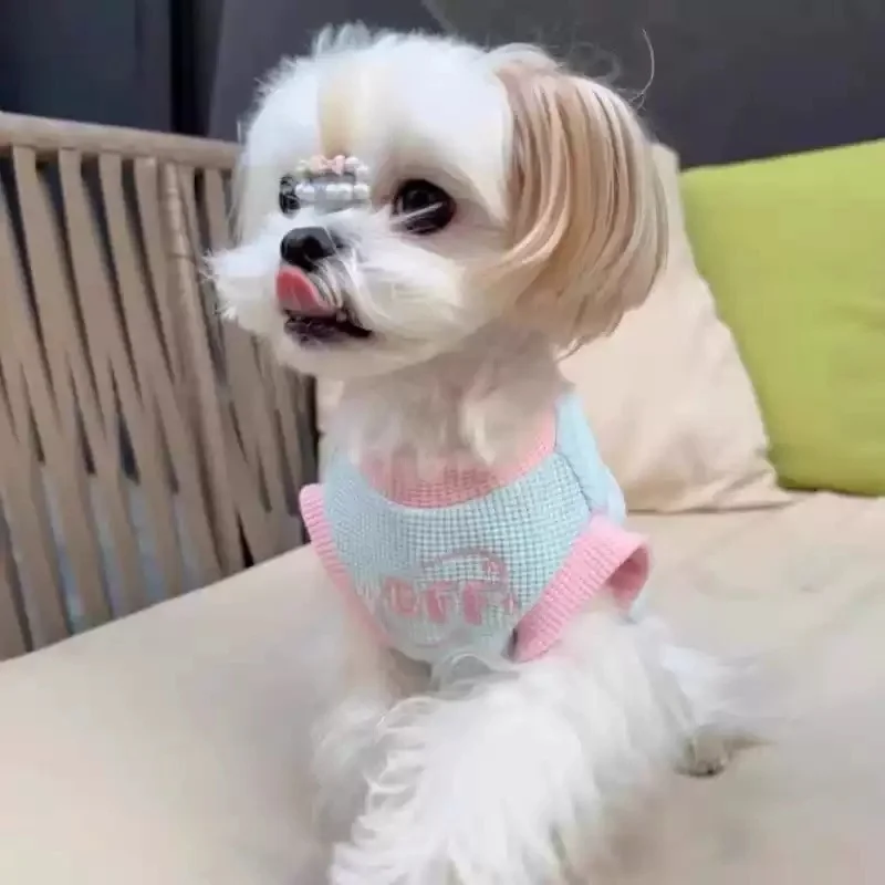 Chaleco para perro y gato con estampado de dibujos animados