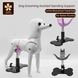 Escalera regulable para perros – Acceso fácil a sofá y cama