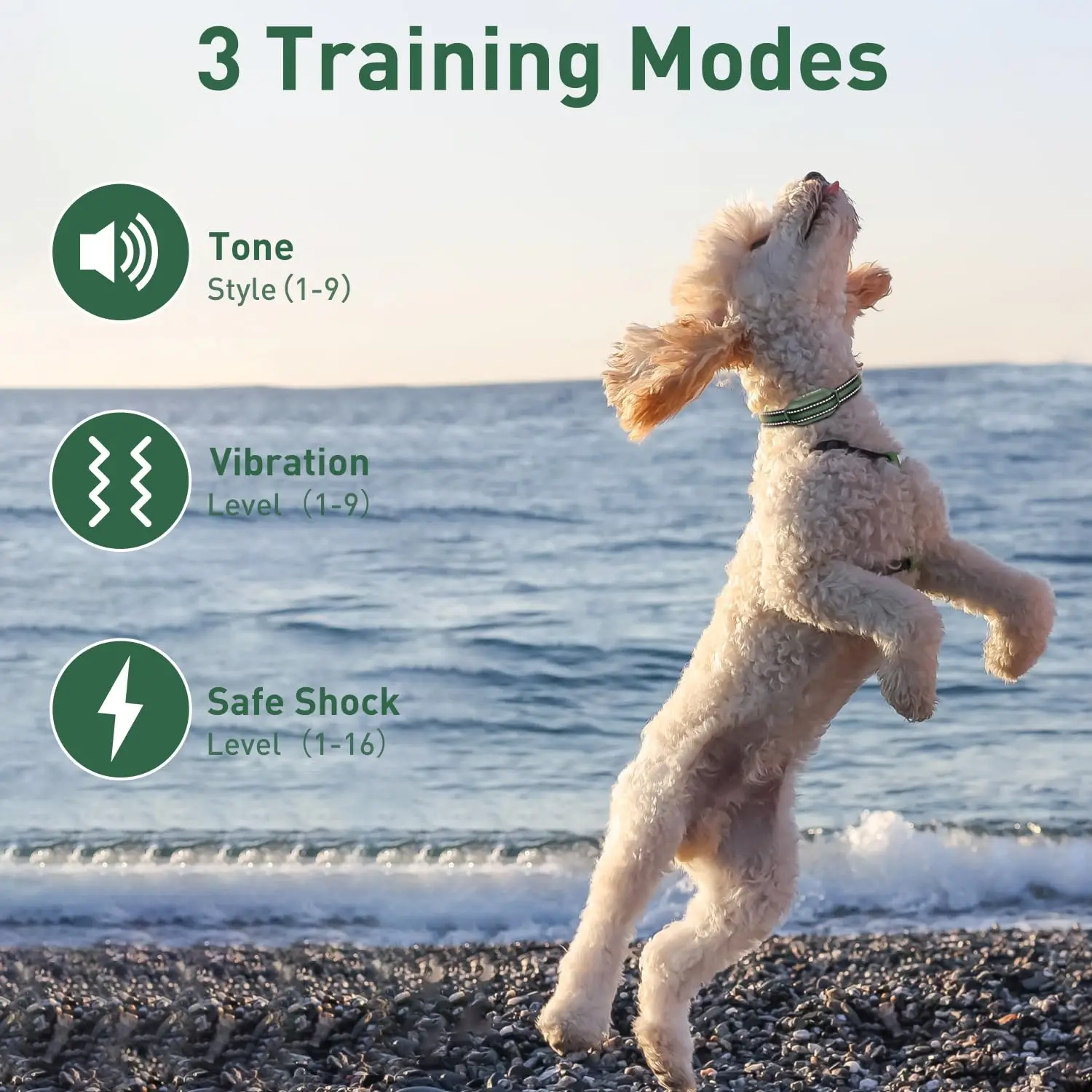 Collar de entrenamiento para perros con alcance de 3300 pies, Collar de choque impermeable para perros de 10-110 libras, Collar eléctrico con modos de choque, pitido y vibración - imagen 2