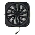 25cm big fan
