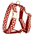 Harness