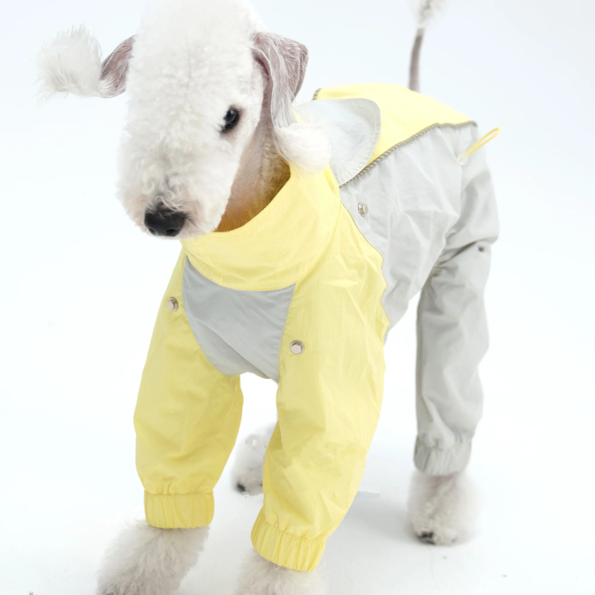 Traje impermeable ligero para Bedlington, abrigo rosa fino transpirable de verano de cuatro patas, sombrero para impermeable de galgo italiano para perros - imagen 3