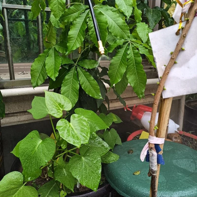 360 °   Sistema de riego por goteo ajustable, sistema de riego de jardín de 5/10/15/20M, accesorios para invernadero - imagen 4