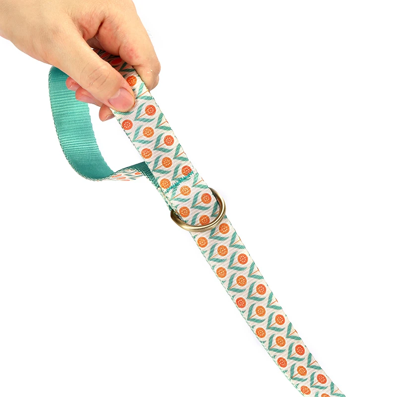 Correa de nailon para perro, correa resistente con Clip, hebilla, Collar para mascota para perro pequeño y mediano, Chihuahua, 5 tamaños, planta de huevo escalfado PDC347 - imagen 2