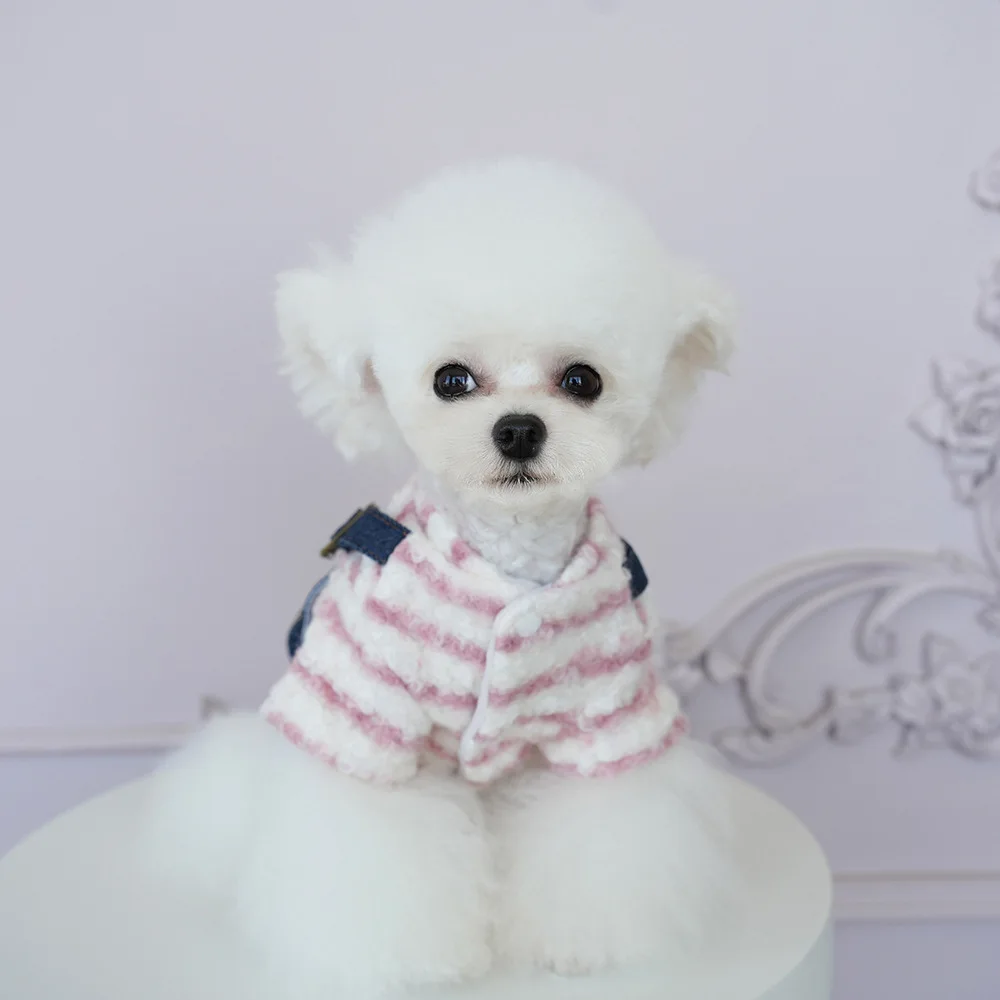 Monos vaqueros de otoño e invierno para mascotas, mono de invierno para perros de peluche, ropa para parejas de cuatro patas, chaqueta, ropa para cachorros pequeños - imagen 2