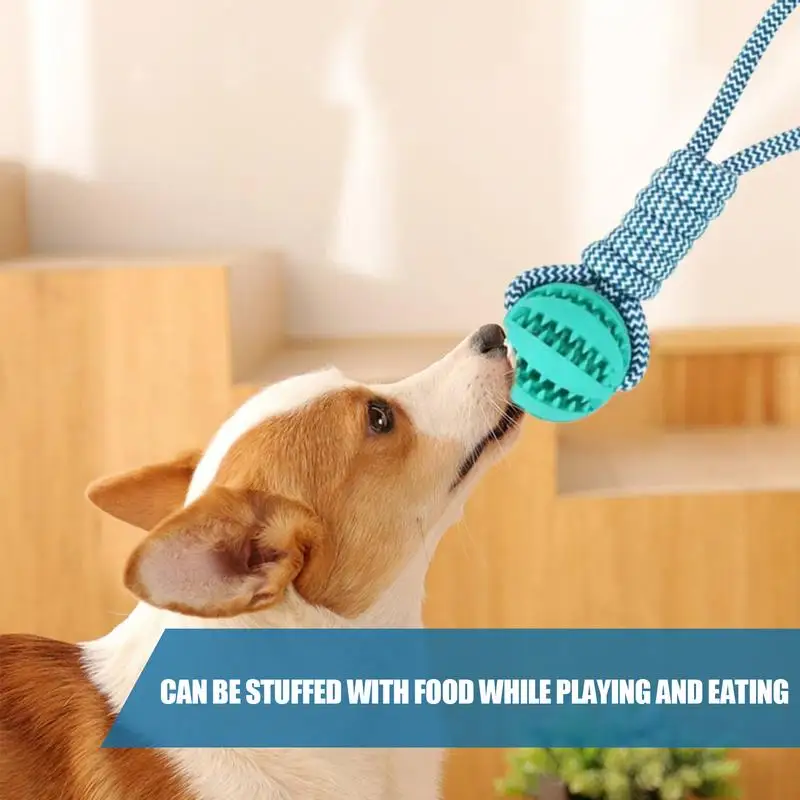 Tug Of War-pelota de Juguete para perro, cuerda interactiva para entrenamiento de perros, ejercicio, masticar, juguete de entrenamiento - imagen 3